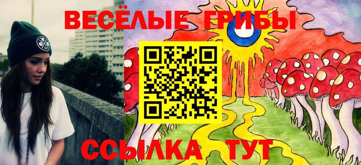 Галлюциногенные грибы прущие грибы Приморско-Ахтарск
