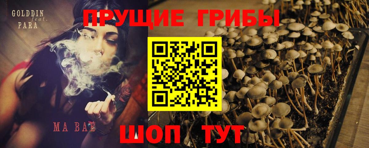 Псилоцибиновые грибы Psilocybine cubensis  Вход с VPN  Приморско-Ахтарск 